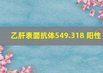 乙肝表面抗体549.318 阳性